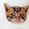 Skarpetki damskie bawełniane w urocze kotki Milena