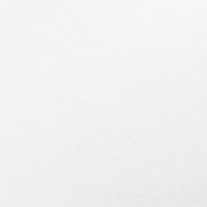 Biustonosz damski miękki bawełniany w sportowym stylu biały Natural Cotton 1454 Sielei