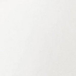 Biustonosz z bawełny organicznej usztywniany na fiszbinach biały Plunge Extra Cotton Lormar