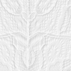 Figi damskie bawełniane (2pack) z koronkowym tyłem białe Giglio Pierre Cardin