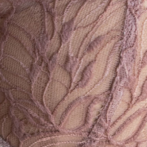 Biustonosz koronkowy półusztywniany na fiszbinach cappuccino 3585 Ariel Kleo