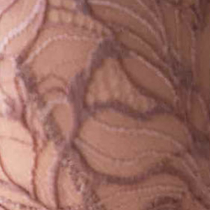 Koronkowe body damskie z miękkimi miseczkami cappuccino 3588 Ariel Kleo