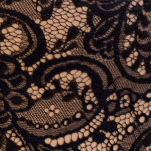 Figi damskie z wysokiemu stanem z mikrofibry i koronki czarne 2795 Daniella Kleo