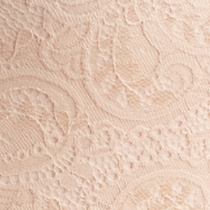 Figi damskie z wysokiemu stanem z mikrofibry i koronki pudrowy róż 2795 Daniella Kleo