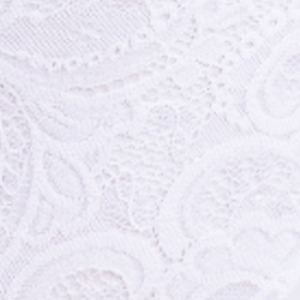 Figi damskie z wysokiemu stanem z mikrofibry i koronki białe 2795 Daniella Kleo