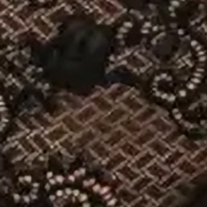 Stringi damskie czarne z włoskiej koronki 2646 L Karina Kleo