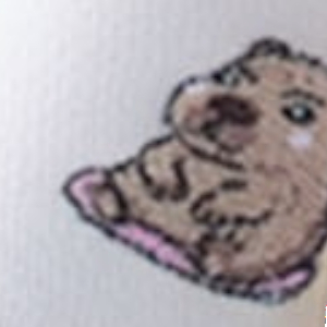 Skarpetki dziecięce bawełniane kremowe Siedząca Kapibara Milena