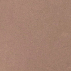 Figi damskie bawełniane (2pack) z wysokim stanem i koronką mokka LPF 112 Key