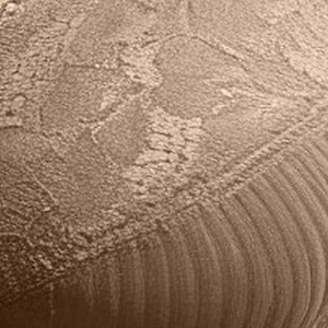 Biustonosz miękki na fiszbinach z żakardowej mikrofibry mokka AR12 Verde Veronica