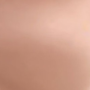 Top biustonoszowy z mikrofibry bronzo Active Ultrashine Lormar